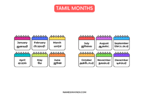 Months Name In Tamil Infographic × px