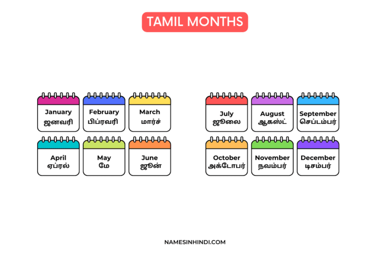 Months Name In Tamil Infographic × px