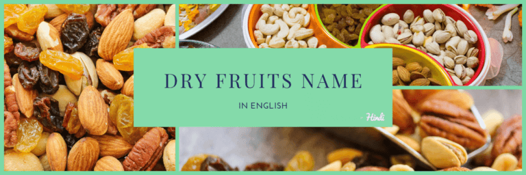 DRY FRUITS NAME in English