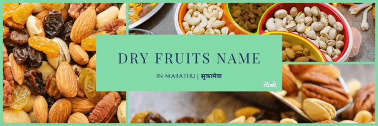 DRY FRUITS NAME in Marathi