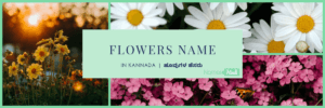 Flowers name in Kannada