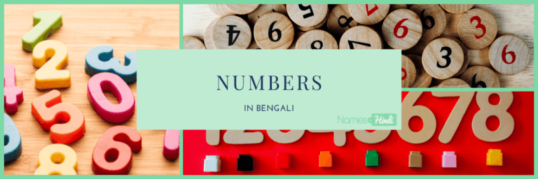 Numbers in BENGALI