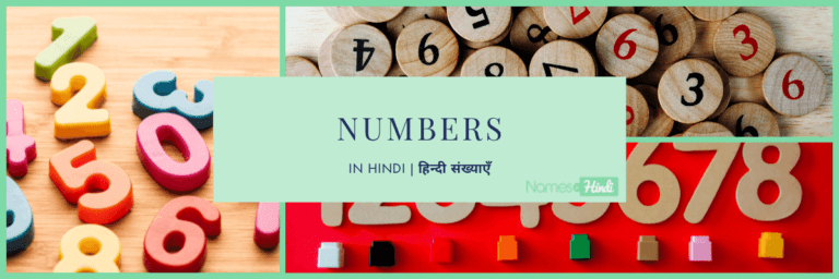 Numbers in HINDI