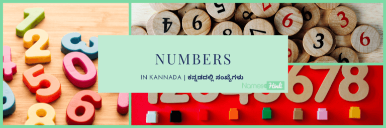 Numbers in KANNADA