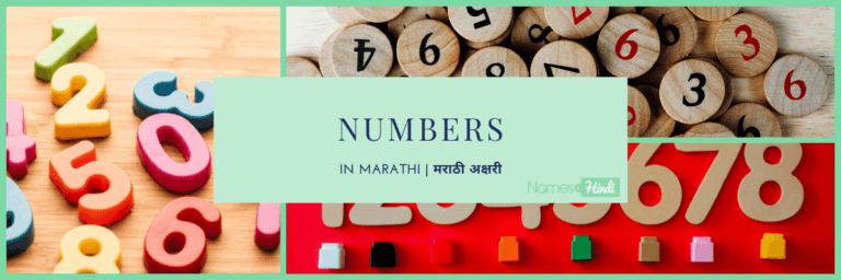 Numbers in MARATHI