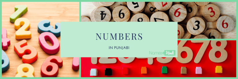 Numbers in PUNJABI