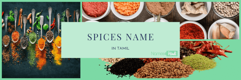 Spices Name in TAMIL